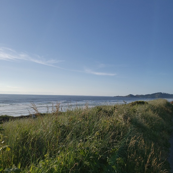 Meet your Posher, Lisa - Picture 2 of 8